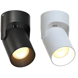 Spotodeon light corsus